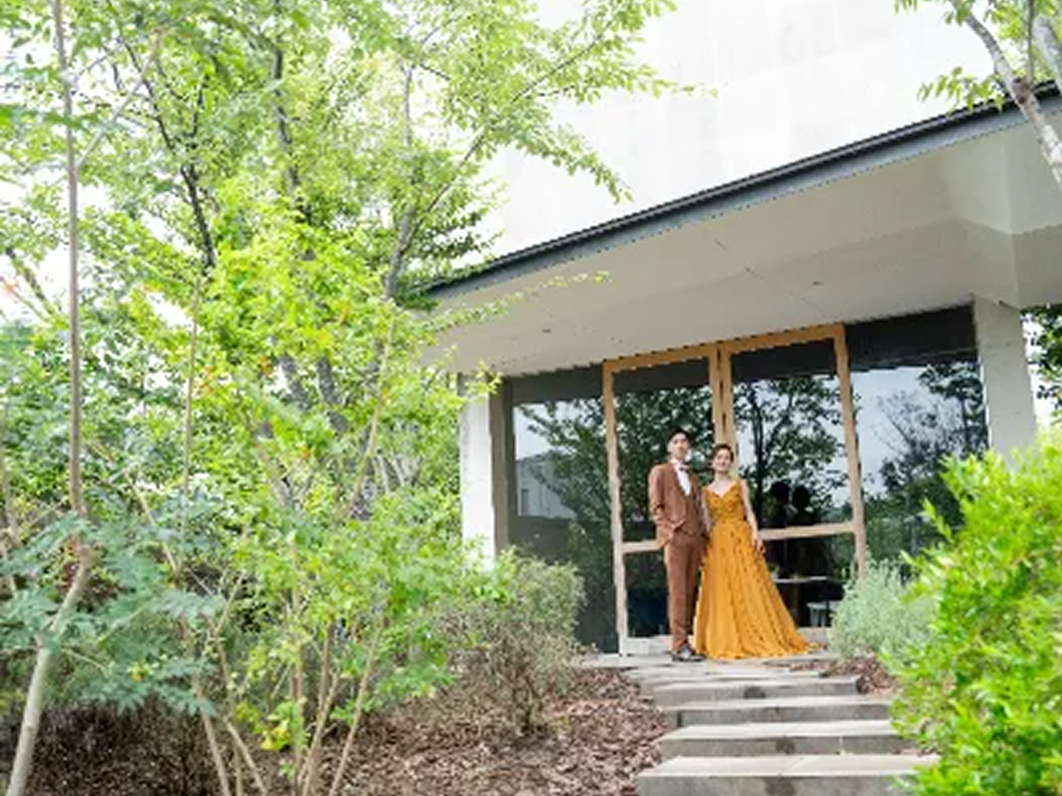 The TERRACE