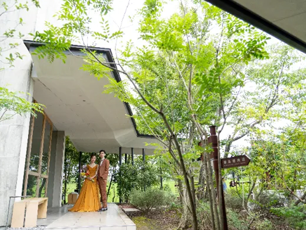 The TERRACE