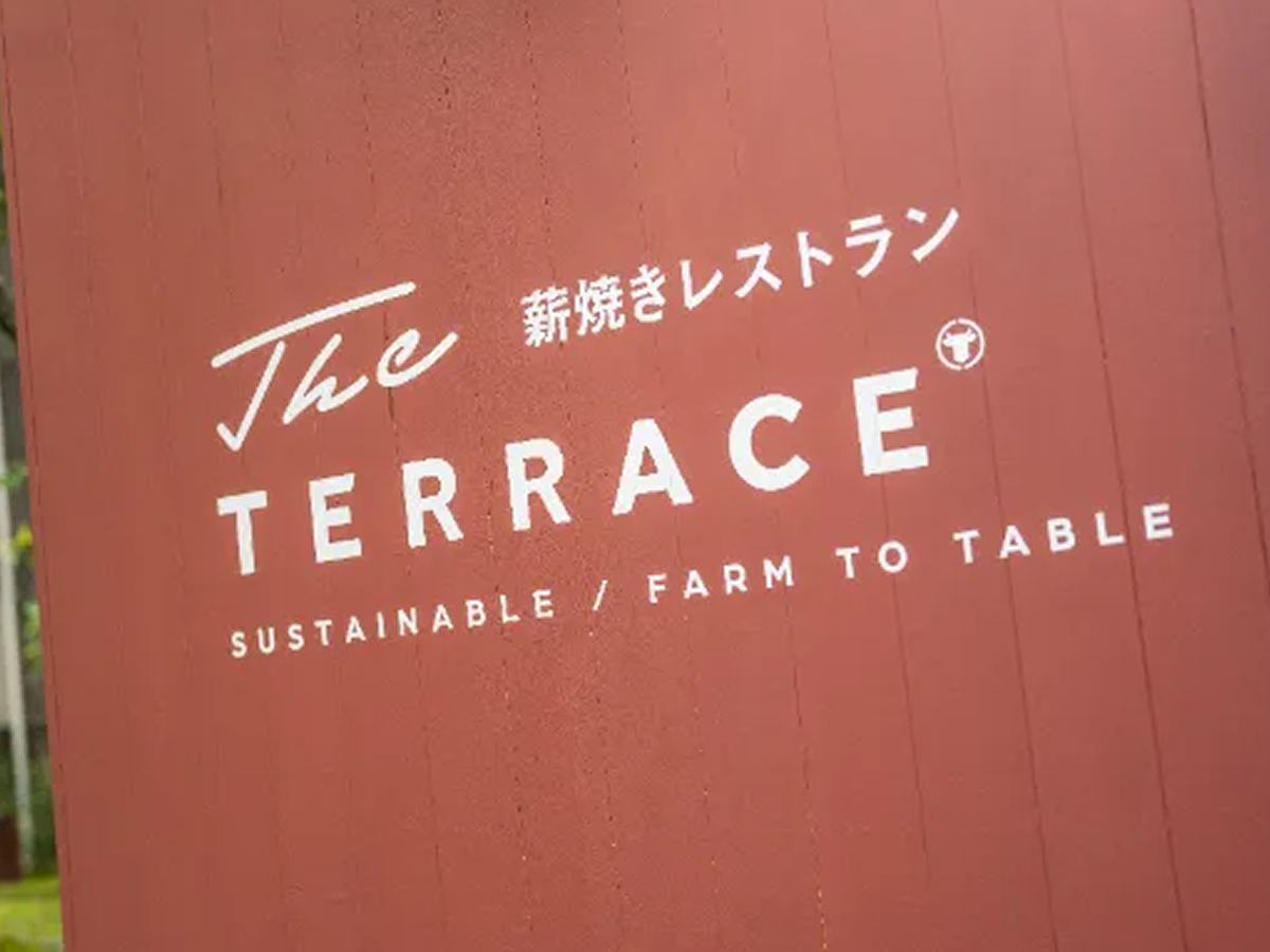 The TERRACE